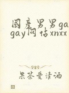 国产男男gaygay网站xnxx
