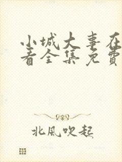 小城大事在线观看全集免费播放高清