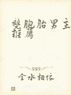 双胞胎男主小说推荐