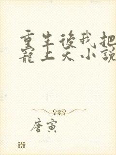 重生后我把夫君宠上天小说