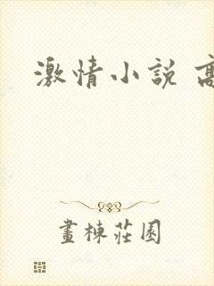 激情小说 高h