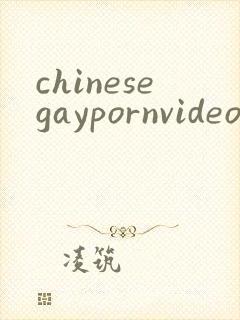 chinesegaypornvideo