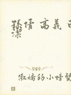 孙倩 高义 白洁