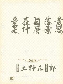 爱在日落黄昏时是什么意思