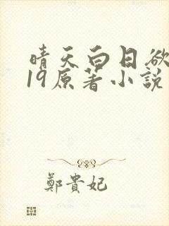 晴天白日欲玲珑19原著小说叫什么名字