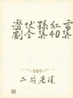 潜伏孙红雷电视剧全集40集免费观看