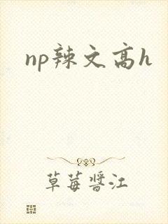 np辣文高h