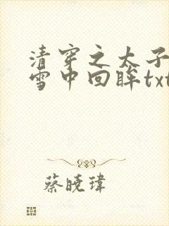 清穿之太子娇妃雪中回眸txt