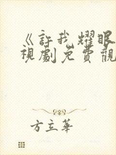 《许我耀眼》电视剧免费观看全集