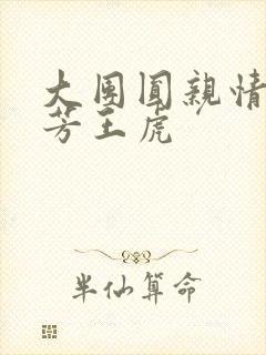 大团圆亲情会王芳王虎封面
