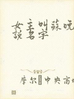 女主叫苏晚的小说名字