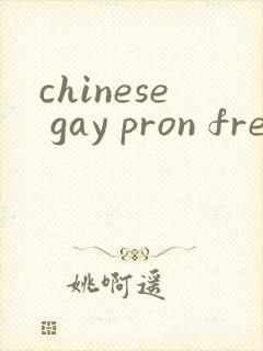 chinese gay pron free封面