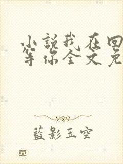 小说我在回忆里等你全文免费阅读