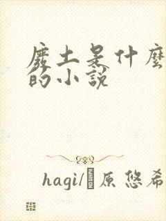 废土是什么类型的小说