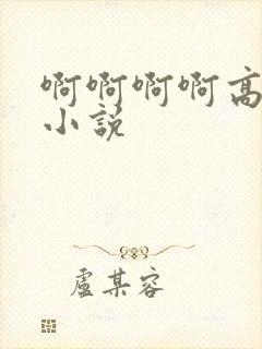 啊啊啊啊高潮了小说