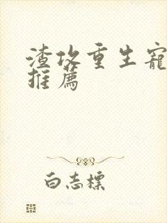 渣攻重生宠受文推荐