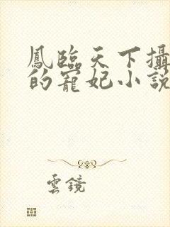 凤临天下摄政王的宠妃小说