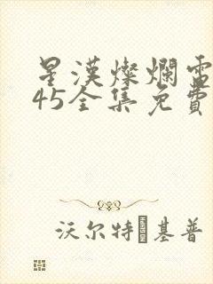星汉灿烂电视剧45全集免费观看封面