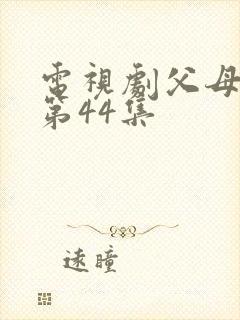电视剧父母爱情第44集
