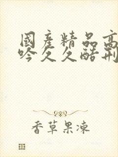 国产精品高潮呻吟久久酷刑
