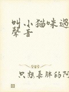 叫小猫咪过来的声音