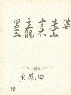 男主有老婆出轨三观不正