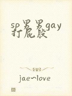 sp男男gay打屁股