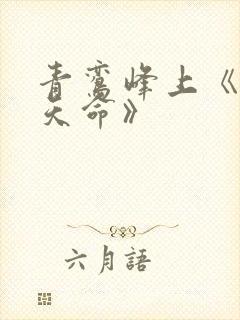 青鸾峰上《无敌天命》封面