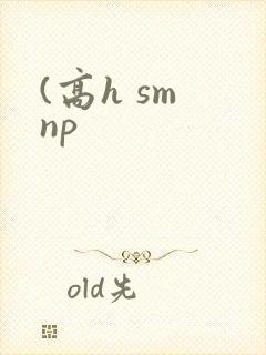 (高h sm np