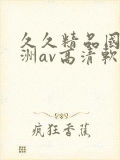 久久精品国产亚洲av高清软件