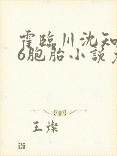 霍临川沈知微怀6胞胎小说免费阅读