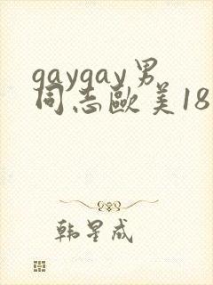 gaygay男同志欧美18
