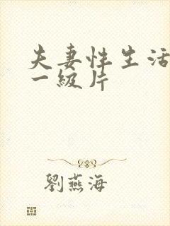 夫妻性生活录像一级片