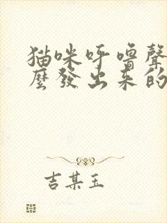 猫咪呼噜声是怎么发出来的