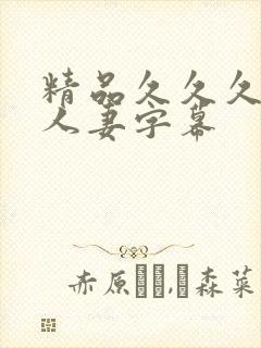 精品久久久中文人妻字幕