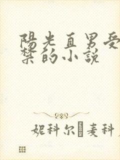 阳光直男受被囚禁的小说封面