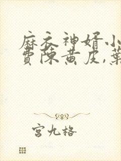 麻衣神婿小说免费陈黄皮,叶红鱼