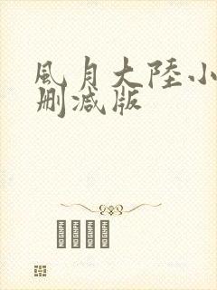 风月大陆小说未删减版