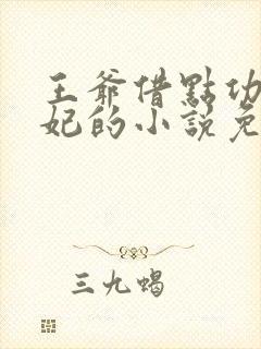 王爷借点功德王妃的小说免费阅读