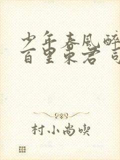 少年春风醉白马百里东君 司空长风全文阅读
