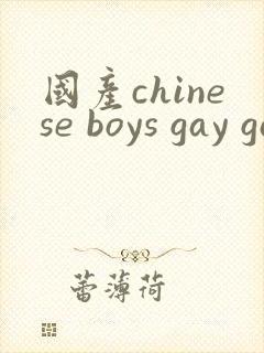 国产chinese boys gay gay网站