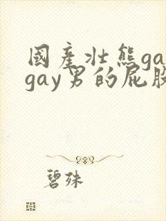 国产壮熊gaygay男的屁股网站