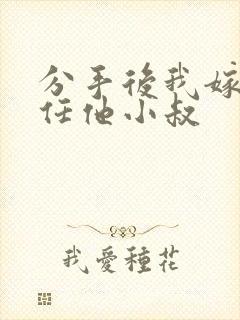 分手后我嫁给前任他小叔