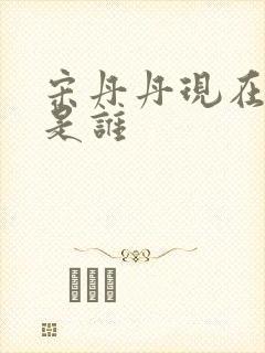 宋丹丹现在丈夫是谁