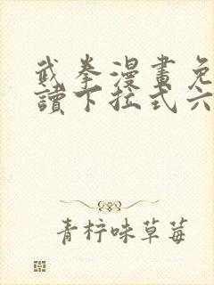 武拳漫画免费阅读下拉式六漫画封面