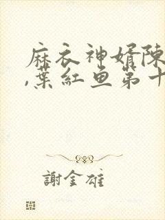 麻衣神婿陈黄皮,叶红鱼第十五章