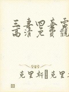 三妻四妾电视剧高清免费观看封面