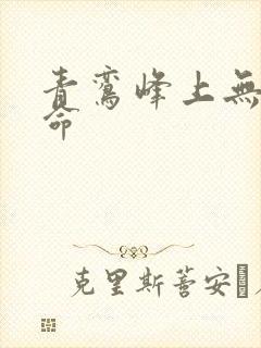 青鸾峰上无敌天命