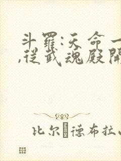 斗罗:天命一族,从武魂殿开始