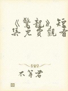 《惊龙》短剧全集免费观看
